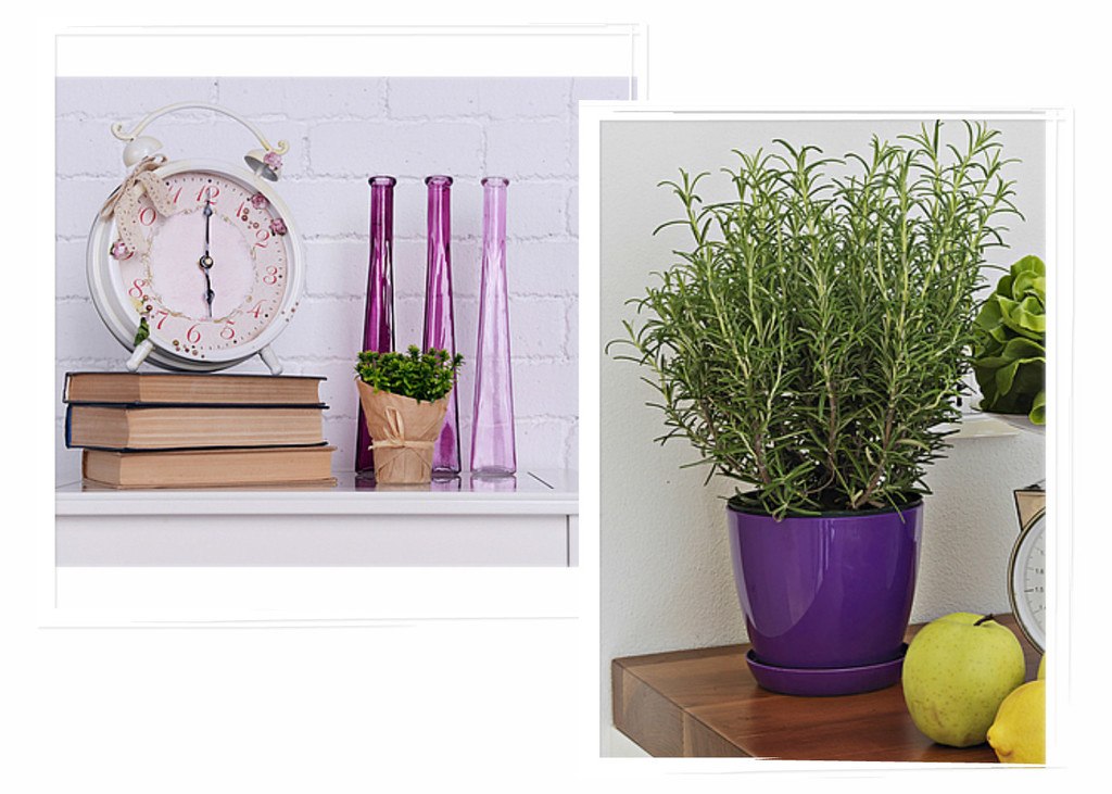 purple and green decorating ideas